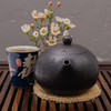 Исинский чайник Си Ши 190 мл #H 87