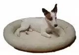 Лежак овальный с жестким валиком для собак Ладиоли, 64x77x10 см