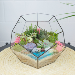 Готовый флорариум с суккулентами Сфера с озером
