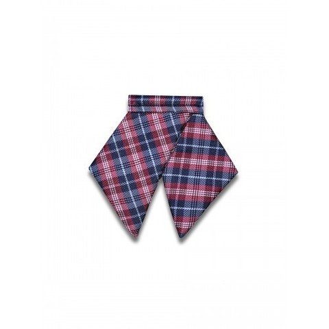 Галстук для девочки Tsarevich 61