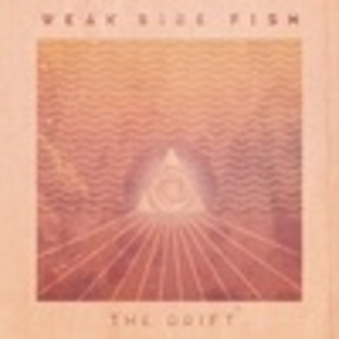 Weak Size Fish - Discography 2012-2020