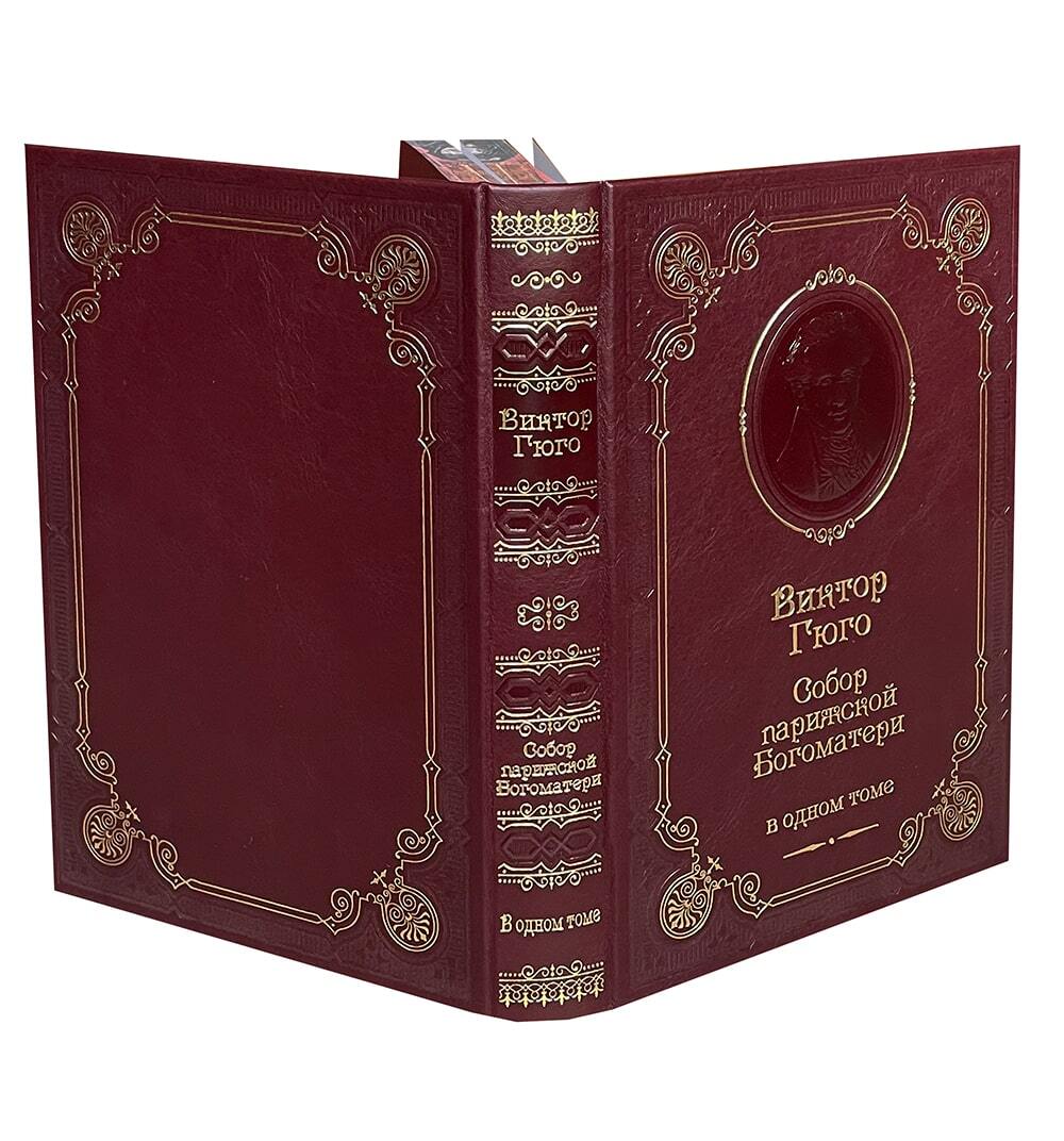 Гюго В. Собор Парижской Богоматери