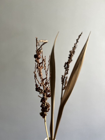 Листья кокоса