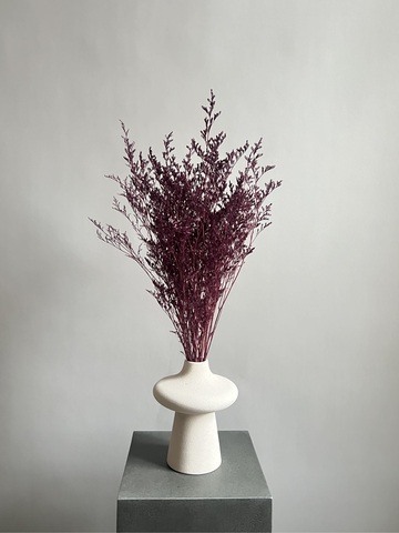 Кермек винный