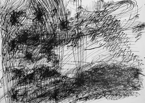 Абсолютное поле