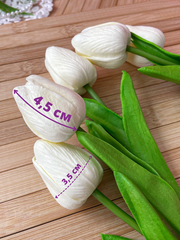 Тюльпаны реалистичные искусственные, Молочные, нежные, латексные (из фоамирана), 34 см, букет из 15 штук