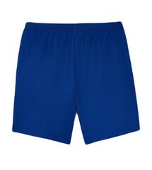 Теннисные шорты Lacoste Sportsuit Logo Stripe Tennis Shorts - bordeaux/navy blue