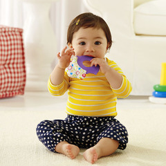 Fisher Price Прорезыватель Ежик (CDV36)