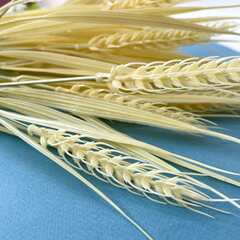 Колосья пшеницы, искусственная зелень, цвет соломенный, набор 3 букета.