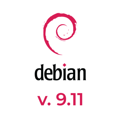 Debian 9.13 (с лицензионным договором присоединения)