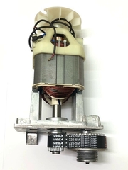 Двигатель в сборе для эл.снегоуборщика 2300Вт