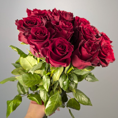 Букет из 15 Роз Эквадор 60