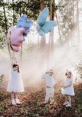 ПД Фигура, Бабочка, Розовая, 27