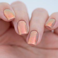 Conformity Gate (LE)