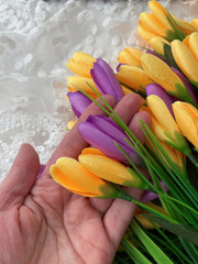 Крокусы-подснежники искусственные, Желто+малиновый ПЫШНЫЙ микс, 35 см, более 90 бутонов в наборе, набор 3+3 букета, всего 6 букетов.