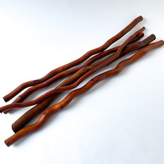 Ствол корелиус, ветка декоративная натуральная для топиария и композиций, коричневая, 50 см., набор 5 шт.