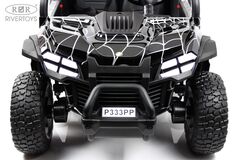 BUGGY P333PP 24V (Полноприводный, двухместный)