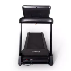 Электрическая беговая дорожка Everyfit FFT03A