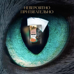 Sheba пауч для взрослых кошек (форель) желе 75 г