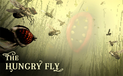 The Hungry Fly (для ПК, цифровой код доступа)
