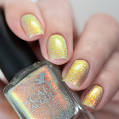 Conformity Gate (LE)