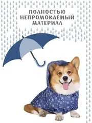 Одежда для собак