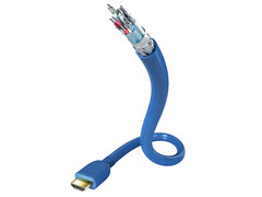 Inakustik Cable HDMI 2.1 Fibre Optique 8K Cable HDMI sur fibre optique 2m -  Hifi, Home-Cinéma, Salle de Cinéma Privée, vidéoprojecteur, Oled, Ampli,  Enceintes