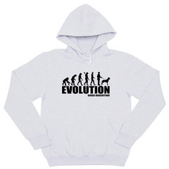 Толстовка "Аргентинский дог- эволюция"