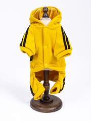 Royal Dog спортивный костюм горчица стразы L