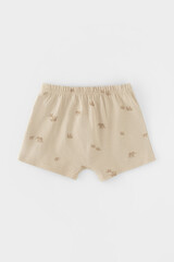 трусы/ уп  для мальчика  К 1930-2уп/морская пена,тем.бежевый,слонята