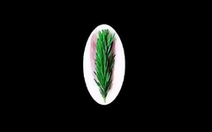 Силиконовый молд 