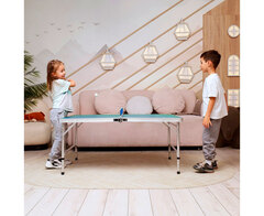 Теннисный стол DFC 48