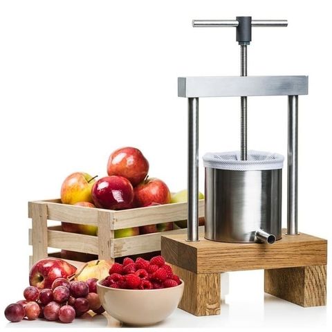 Прессовая соковыжималка Sana Fruit Press Mini
