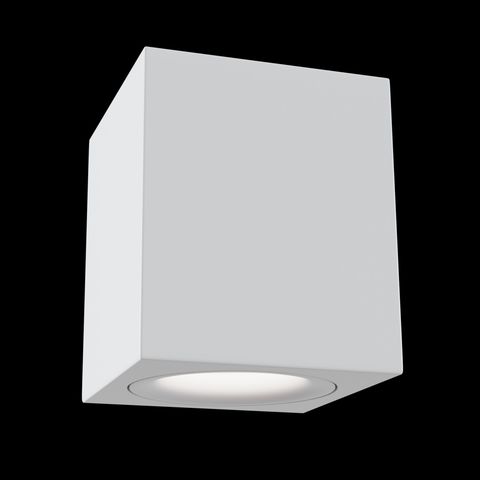 Накладной светильник Maytoni Alfa C013CL-01W