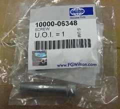 Болт крепления форсунки / SCREW АРТ: 10000-06348