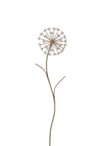 CAMPO Home & Garden