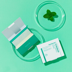 Матирующие салфетки от жирного блеска с мятой Real Barrier Porebium Oil Control Paper