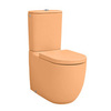 ArtCeram FILE 2.0  Бачок для унитаз моноблок, 32х50 см,  цвет arancio cammeo FLC001 13 00 arancio cammeo