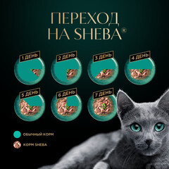 Sheba пауч для взрослых кошек (форель) желе 75 г