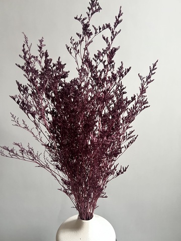 Кермек винный