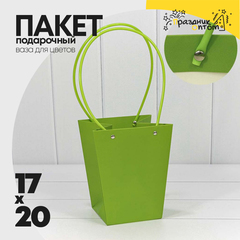 
          Пакет подарочный 20х17х12см Ваза для цветов (Салатовый)