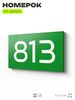 Номер на дверь 813, табличка на дверь для офиса, квартиры, кабинета, аудитории, склада, зеленая 120х70 мм, Айдентика Технолоджи
