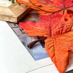 Листья клена КРУПНЫЕ, бархатистые, искусственные, 14х15 см, осенние, Красно-желтые, для  рукоделия и декора, 10 кленовых листочков