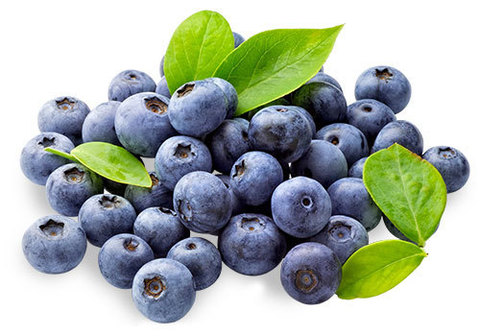 Черника лесная, 500г