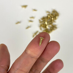 Шурупы саморезы мини, для творчества, цвет Золото, 25 гр, 2,5*8 мм., металлические.