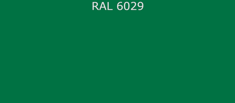 RAL6029