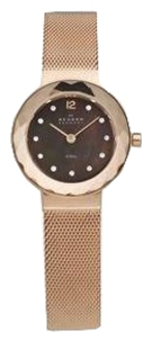 Наручные часы Skagen 456SRR1 фото