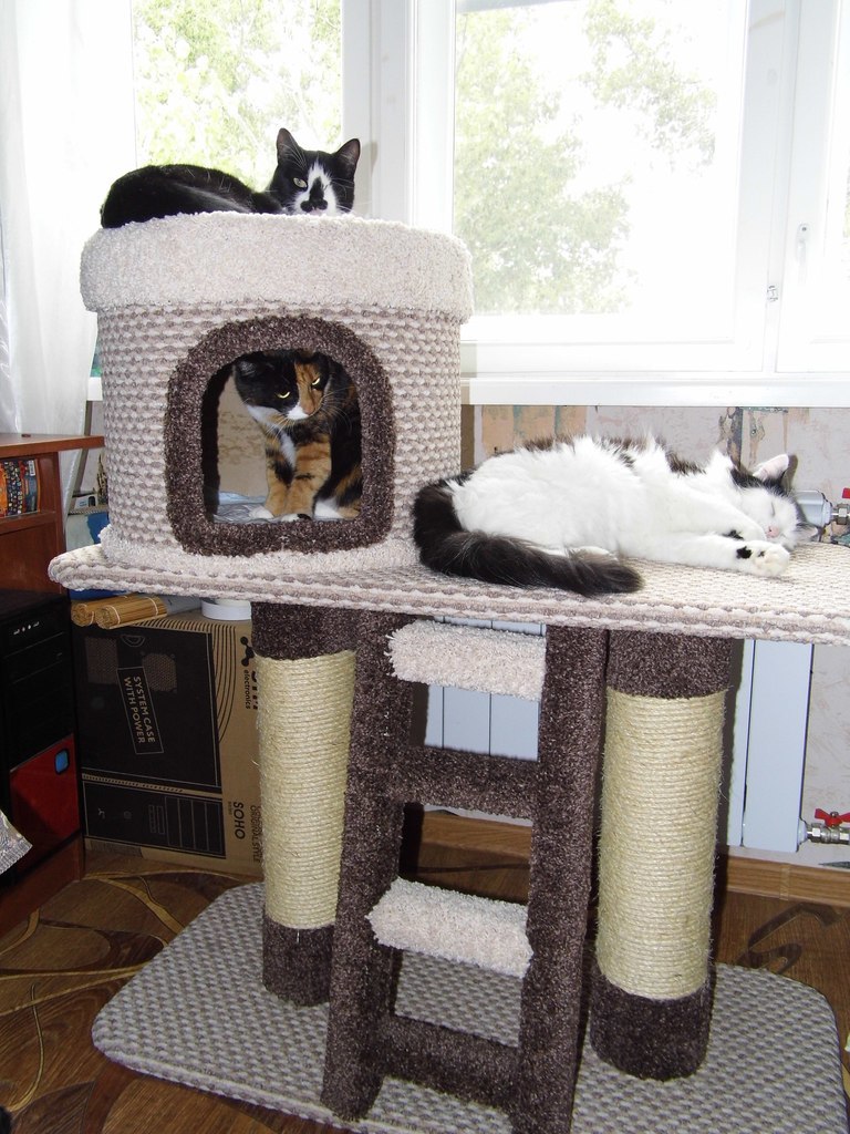 Домики и когтеточки для кошек фото