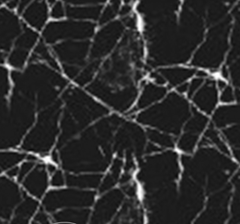 Пленка фольгированная самоклеящаяся Мрамор Неро ТА-009 600x10000 мм