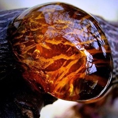 Скоро закончатся